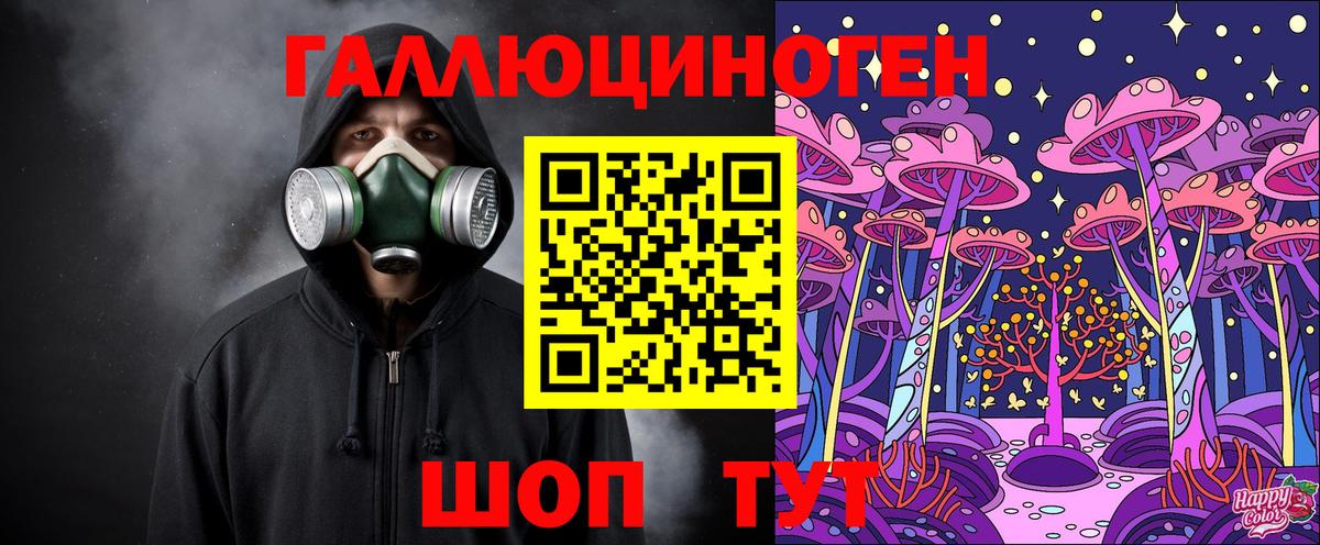 Галлюциногенные грибы Psilocybe Усинск